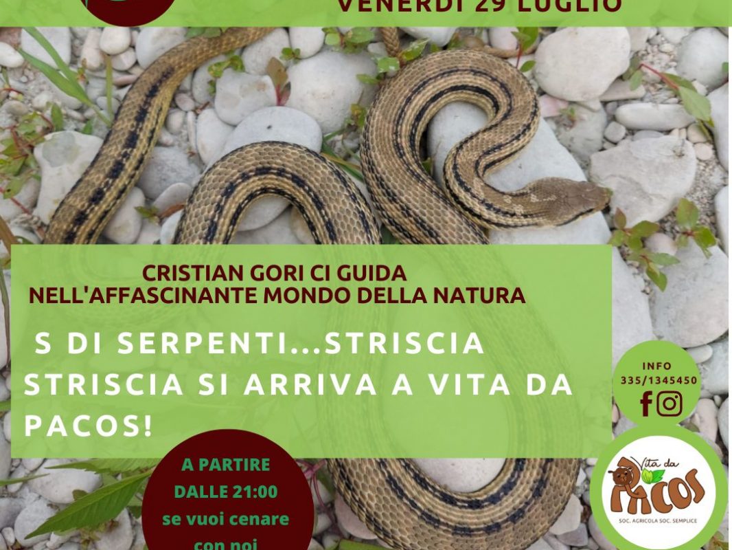 locandina 29 luglio: s di serpenti