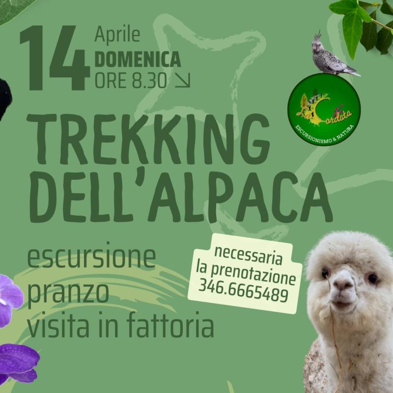 TREKKING DELL'ALPACA